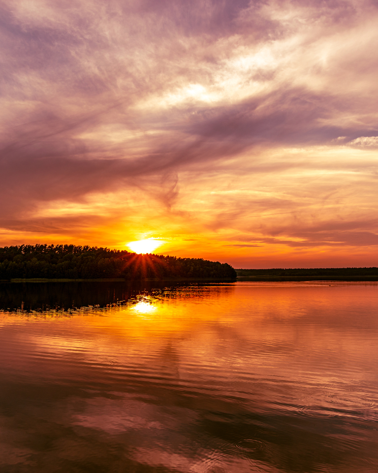 a lake in front of trees and a sunset